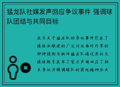 猛龙队社媒发声回应争议事件 强调球队团结与共同目标 猛龙队社媒发声回应争议事件 强调球队团结与共同目标